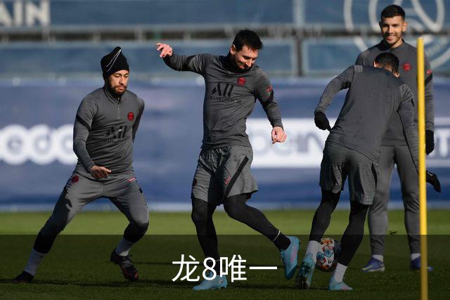 龙8唯一公司介绍图